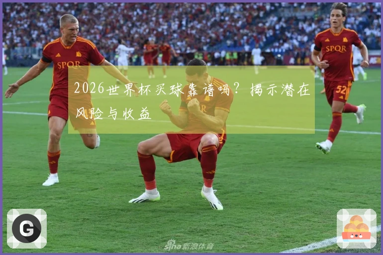2026世界杯买球靠谱吗？揭示潜在风险与收益