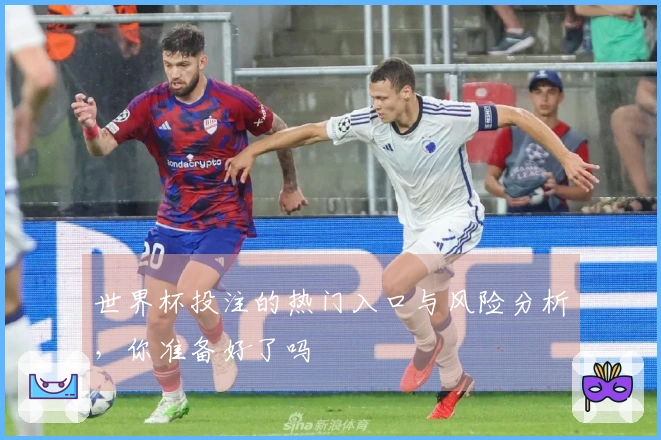 世界杯投注的热门入口与风险分析，你准备好了吗