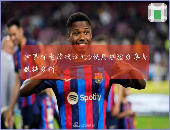 世界杯竞猜投注App使用经验分享与数据分析