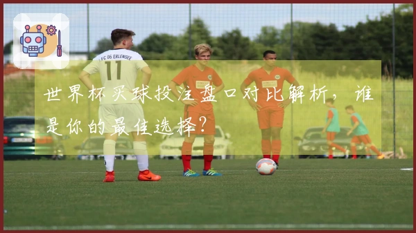 世界杯买球投注盘口对比解析，谁是你的最佳选择？