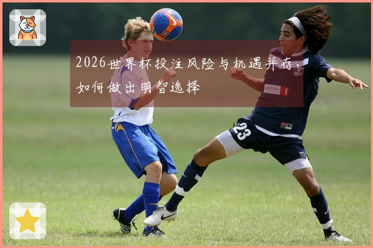 2026世界杯投注风险与机遇并存，如何做出明智选择