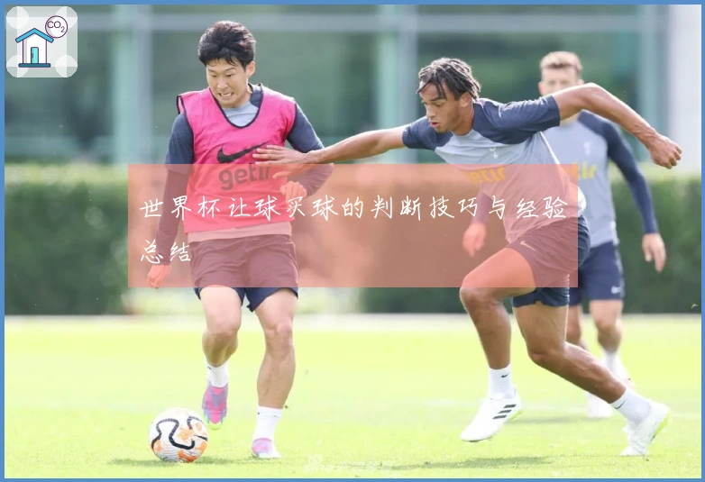 世界杯让球买球的判断技巧与经验总结