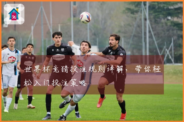 世界杯竞猜投注规则详解，带你轻松入门投注策略