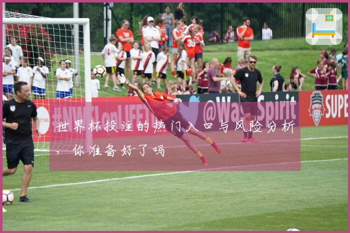世界杯投注的热门入口与风险分析，你准备好了吗