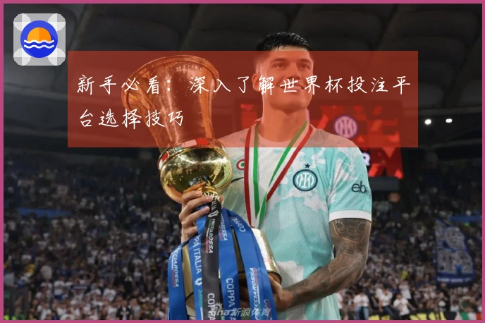 新手必看：深入了解世界杯投注平台选择技巧