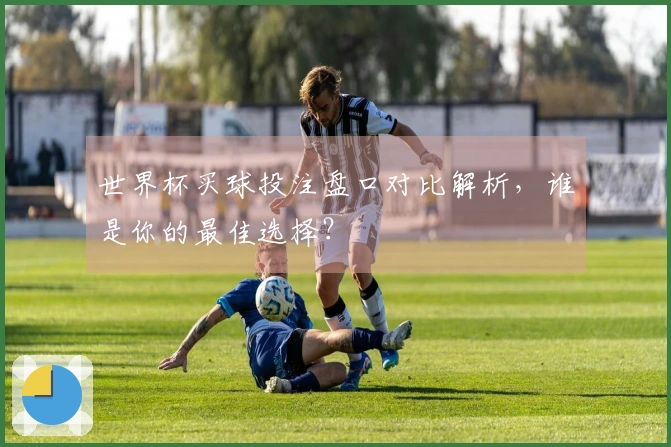 世界杯买球投注盘口对比解析，谁是你的最佳选择？