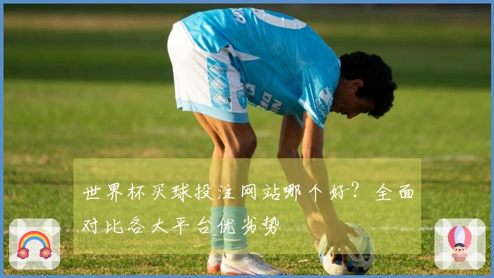 世界杯买球投注网站哪个好？全面对比各大平台优劣势