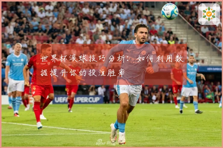 世界杯滚球技巧分析：如何利用数据提升你的投注胜率