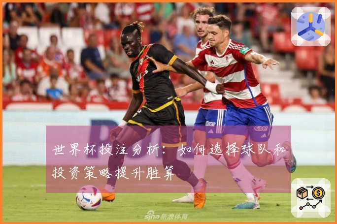 世界杯投注分析：如何选择球队和投资策略提升胜算