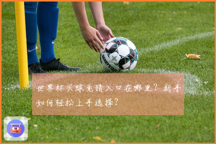 世界杯买球竞猜入口在哪里？新手如何轻松上手选择？