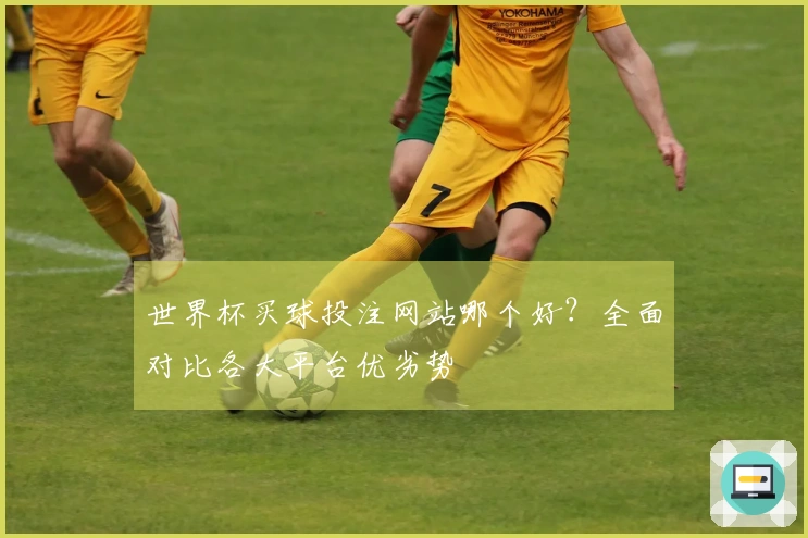 世界杯买球投注网站哪个好？全面对比各大平台优劣势